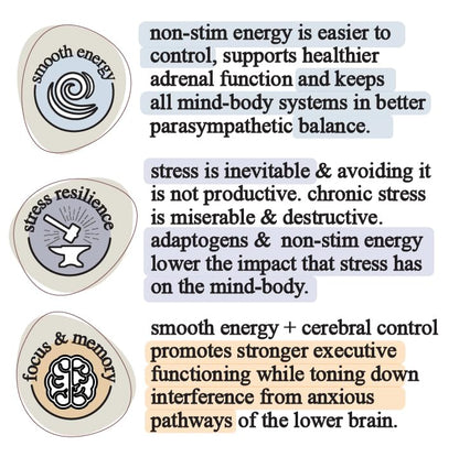 Adaptogen & Mushroom Cacao – Organic Cacao with Mushroom Extracts