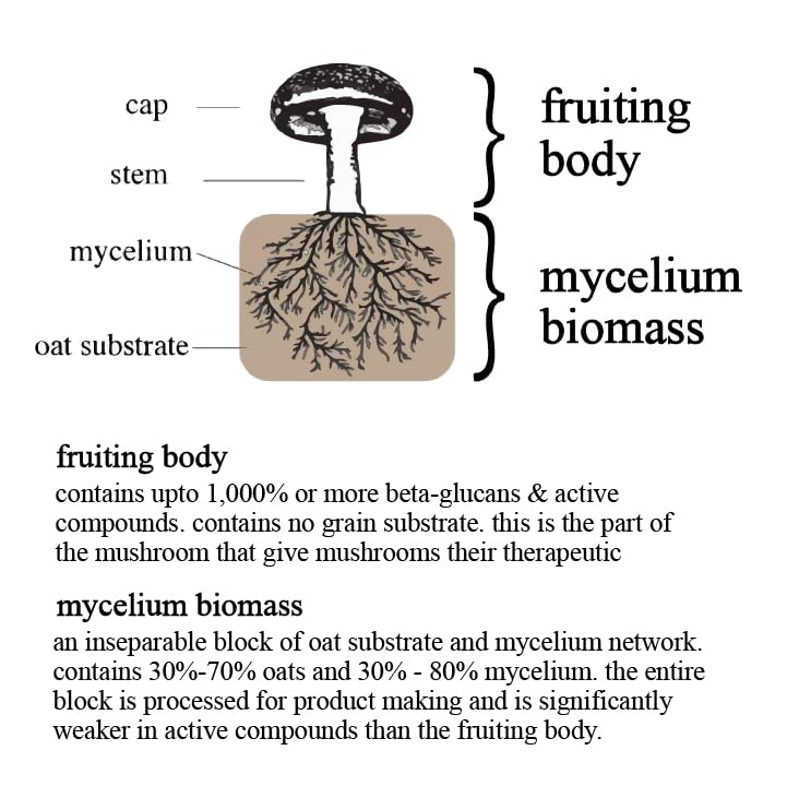 Adaptogen & Mushroom Cacao – Organic Cacao with Mushroom Extracts