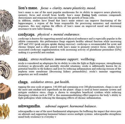 Adaptogen & Mushroom Cacao – Organic Cacao with Mushroom Extracts