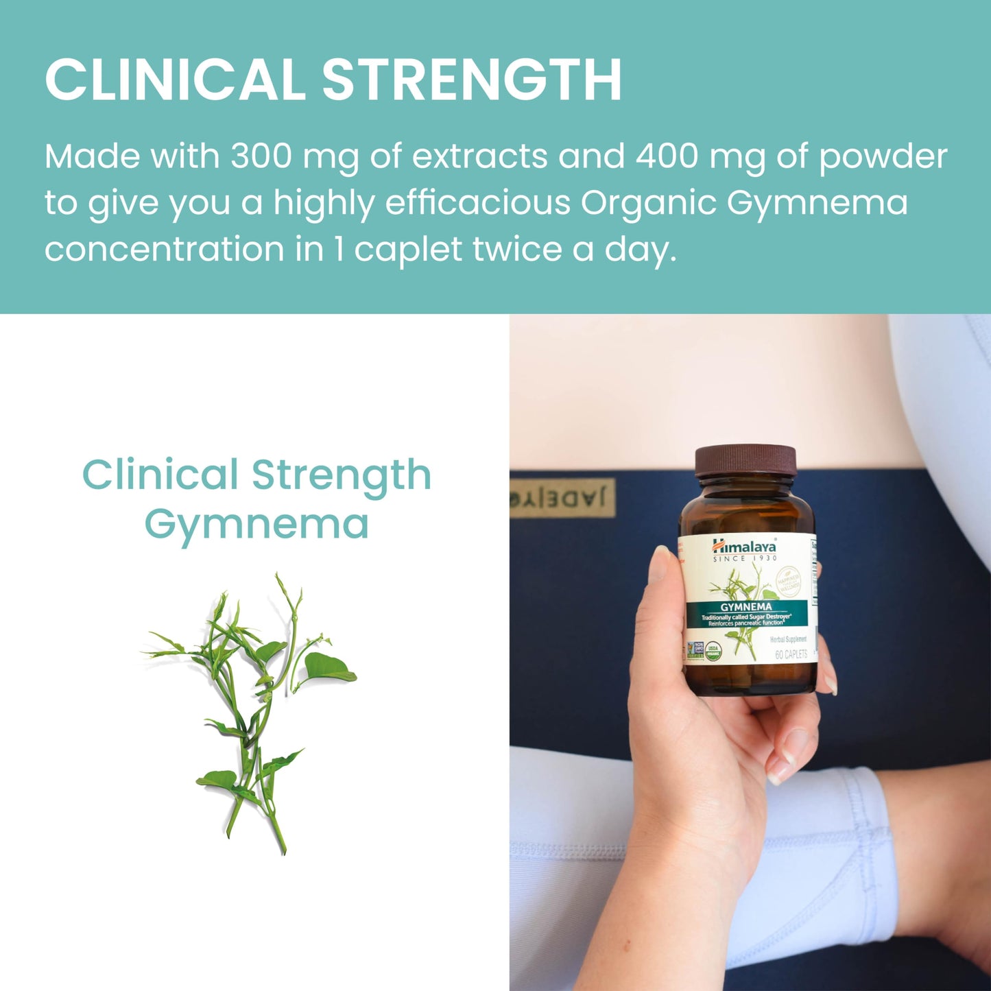 Himalaya Organic Gymnema Sylvestre – Herbal Glucose Metabolism Support - USDA Organic, Non-GMO, Vegan, Gluten Free, Additive Free, 700 mg, 60 Caplets