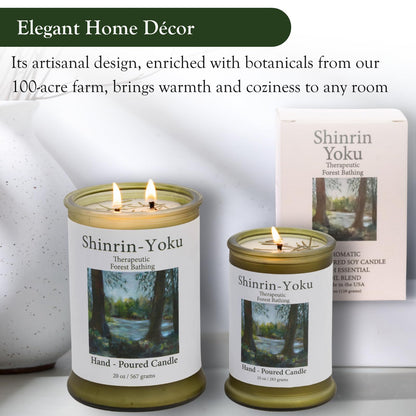 ADK Shinrin Yoku Scented Candle – 10 oz Soy Wax, Made in USA | Adirondack Fragrance & Flavor Farm