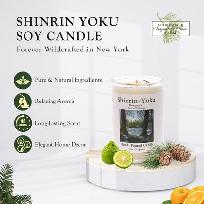 ADK Shinrin Yoku Scented Candle – 10 oz Soy Wax, Made in USA | Adirondack Fragrance & Flavor Farm
