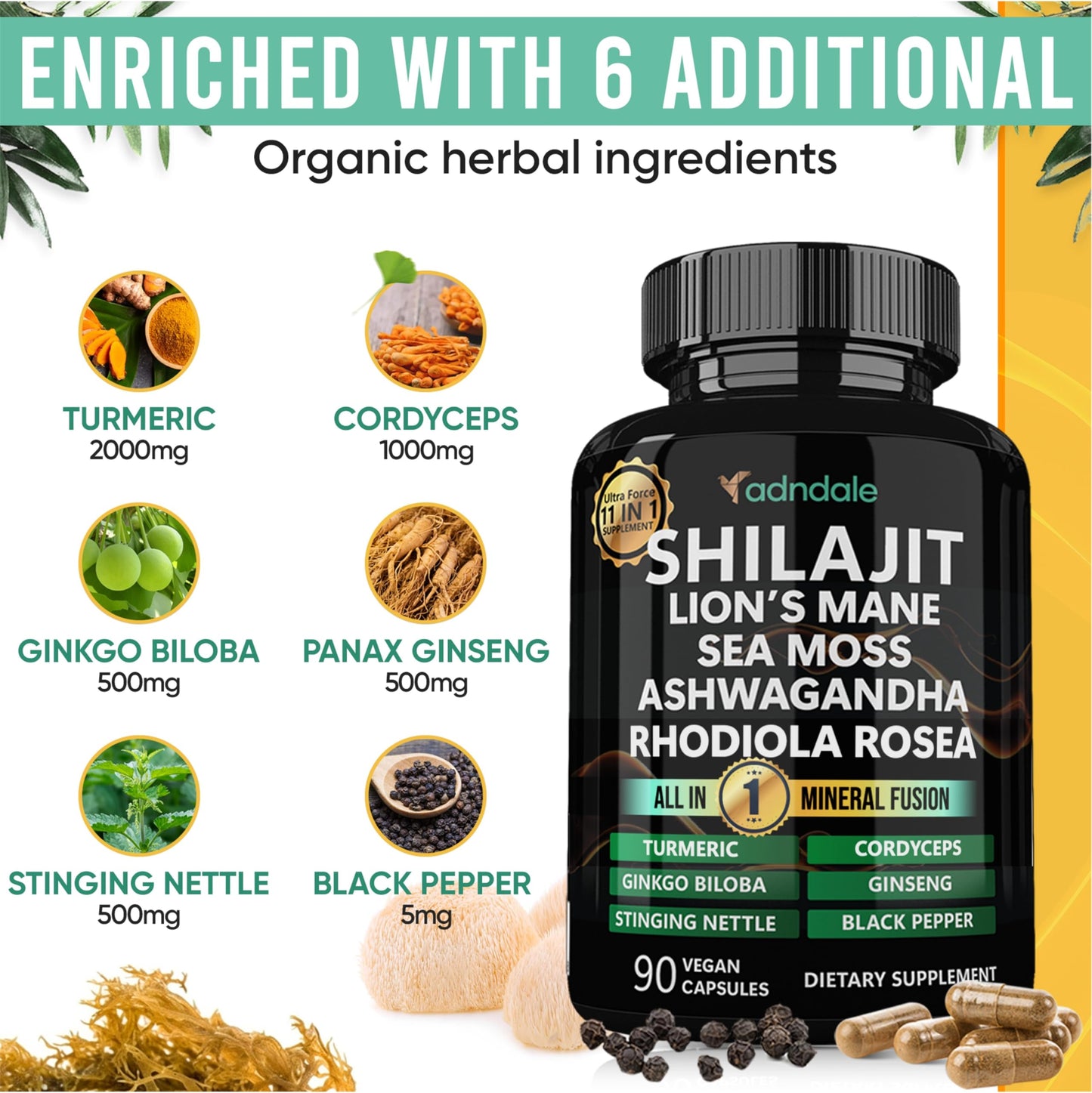 Adndale Shilajit Supplement - Pure Himalayan Shilajit 11-in-1, 90 Capsules