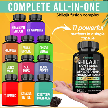 Adndale Shilajit Supplement - Pure Himalayan Shilajit 11-in-1, 90 Capsules