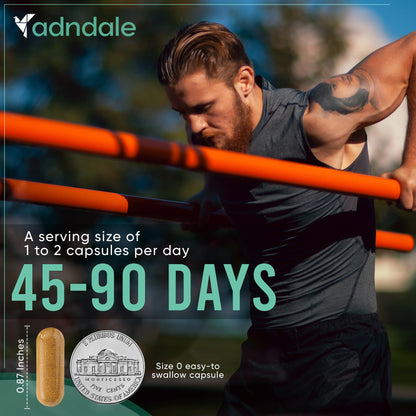 Adndale Shilajit Supplement - Pure Himalayan Shilajit 11-in-1, 90 Capsules