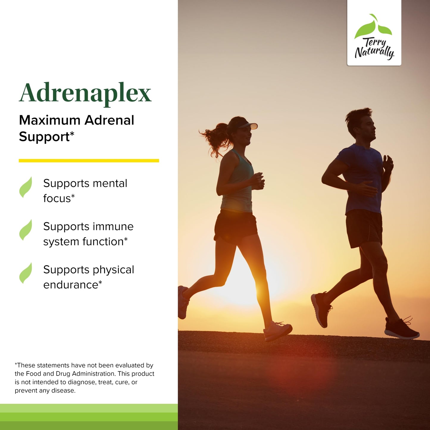 Terry Naturally Adrenaplex - Adrenal Gland Support with Vitamin C & B6 | 60 Capsules (Pack of 2) | Keep Out of Reach of Children