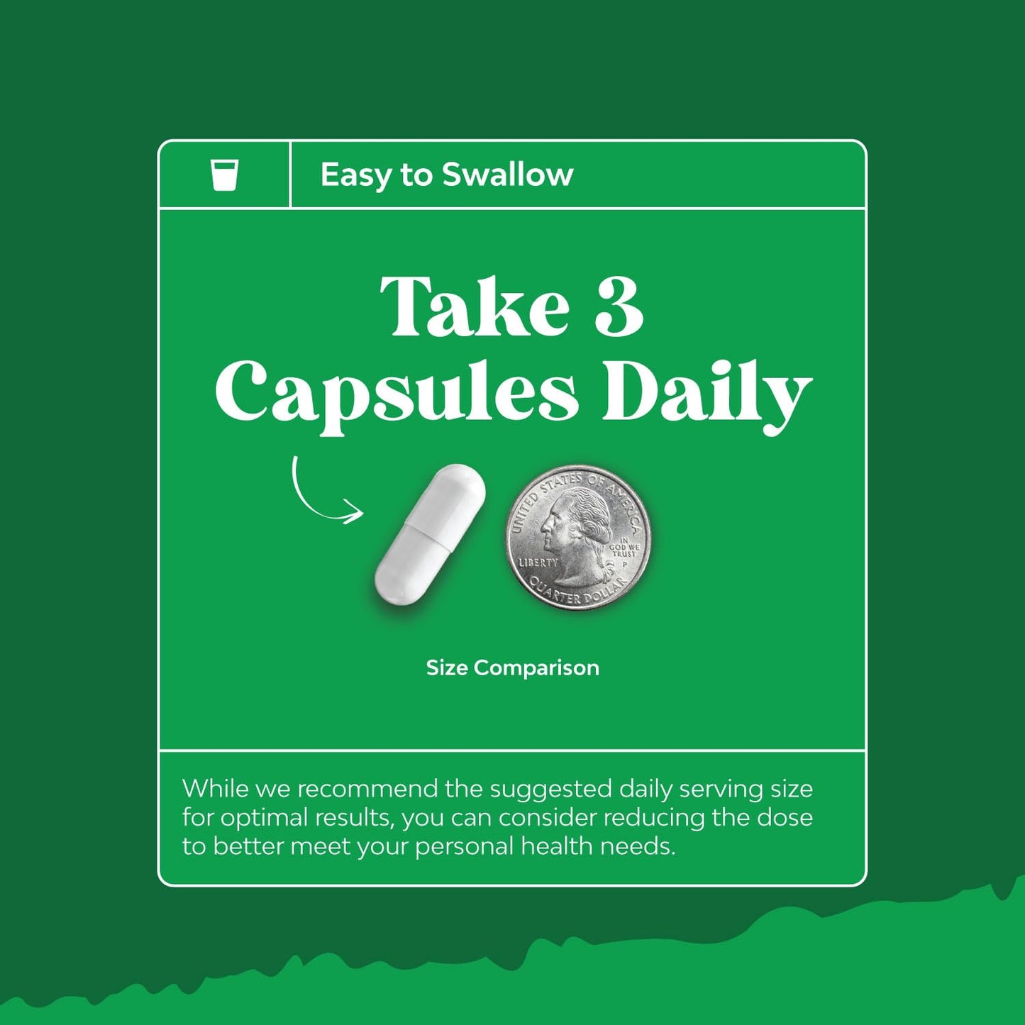 Ox Bile Salts for Gallbladder Support | Digestive Enzymes & Betaine HCL