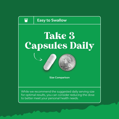 Ox Bile Salts for Gallbladder Support | Digestive Enzymes & Betaine HCL