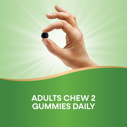 Nature’s Way Chlorofresh Chlorophyll Gummies – Orchard Fruit Flavor, 60 Gummies