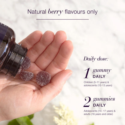 NEW NORDIC Elderberry Vegan Gummies - Sugar Free Immune Support with Vitamin C (Adults & Kids 4+) 60 Count