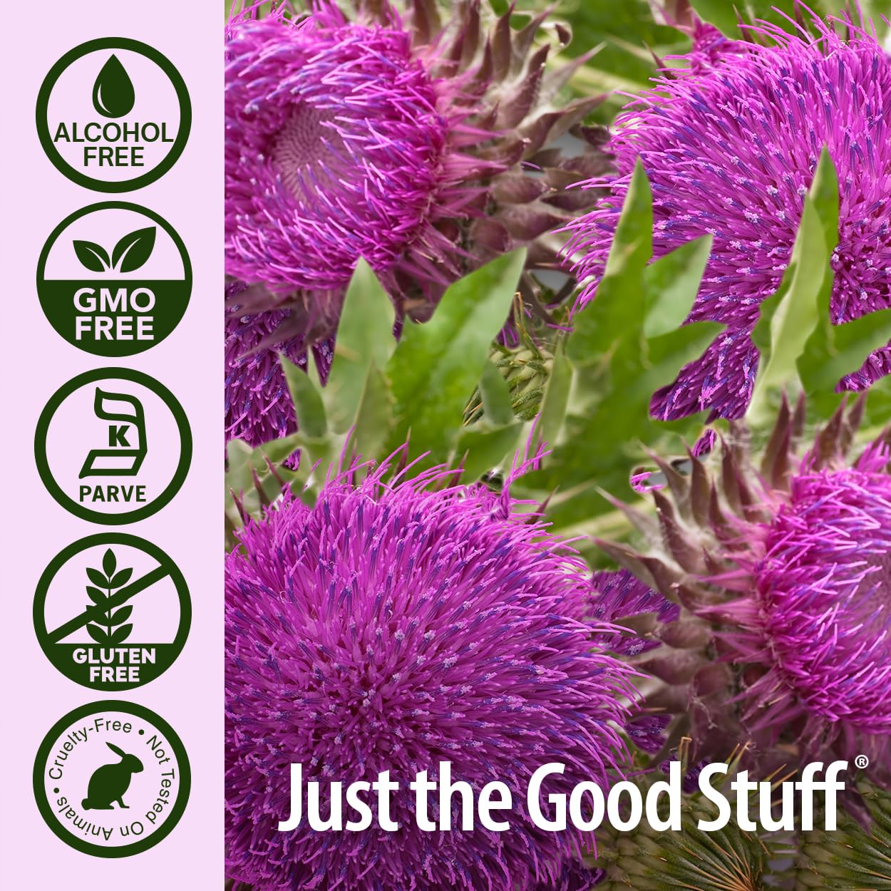 Nature's Answer Milk Thistle 2 oz Alcohol-Free Liver Support - Made in USA