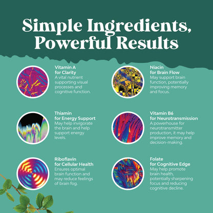 Advanced Brain Supplement for Memory and Focus | Nootropics for Adults