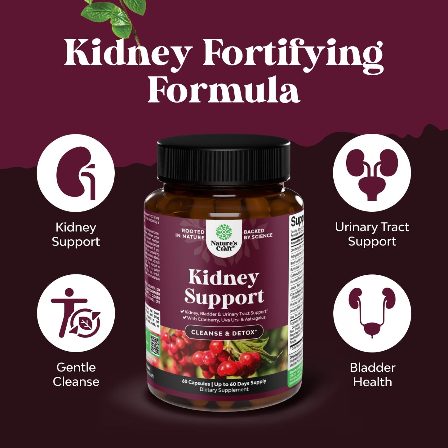 Advanced Kidney Support - Cranberry, Uva Ursi & Astragalus | 60 Capsules