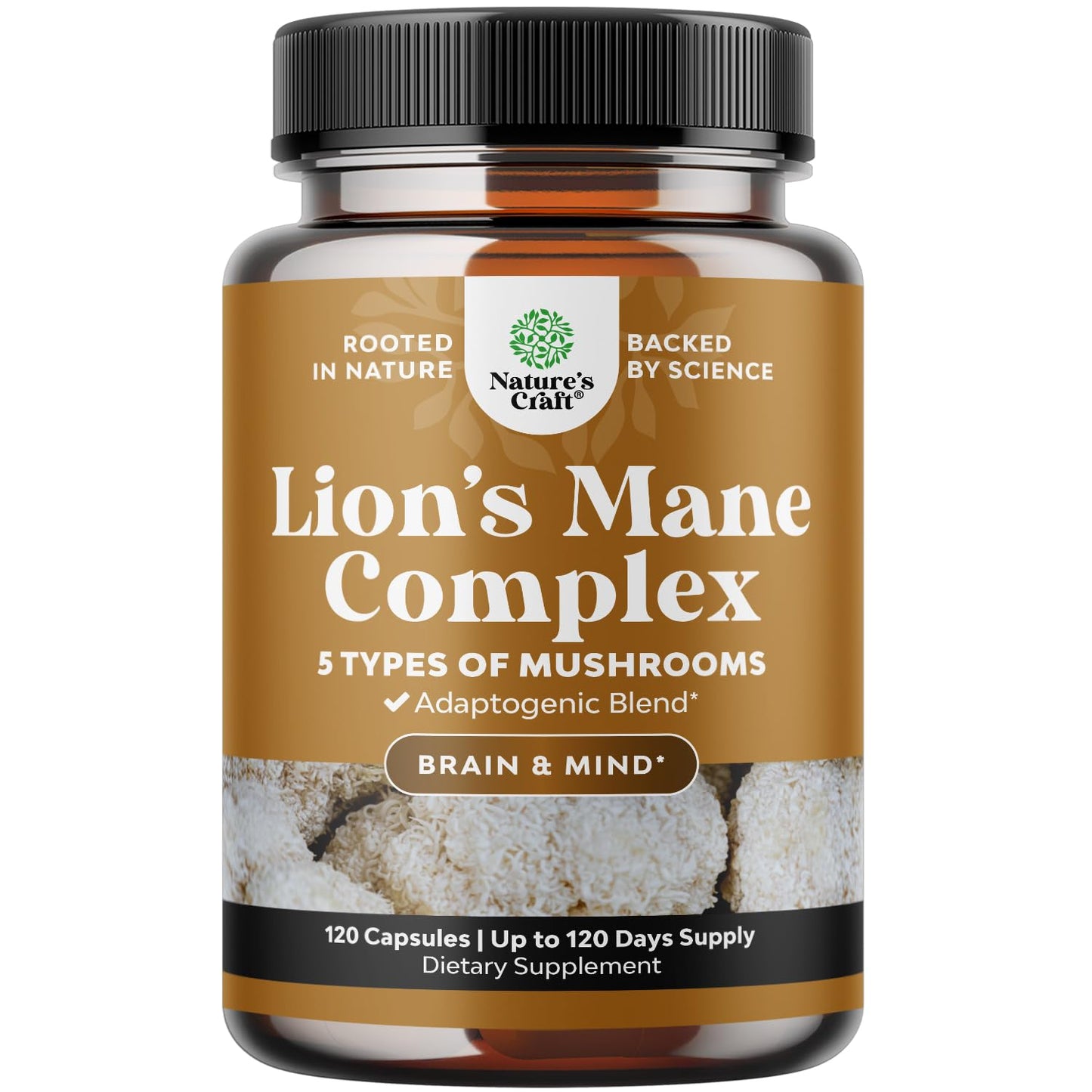 Advanced Lion's Mane Mushroom Supplement - Brain Health & Focus - 120 Caps