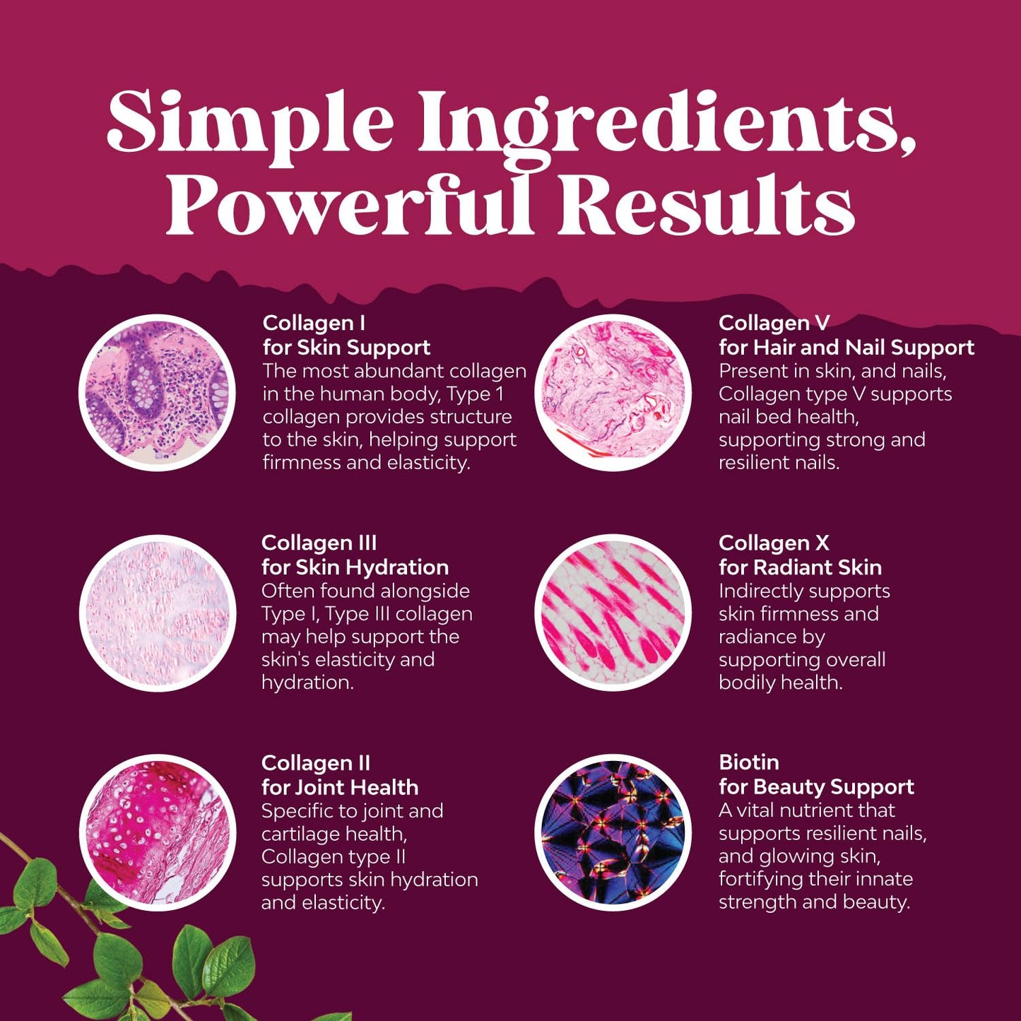 Advanced Multi Collagen Complex with Biotin – Type 1–X, Hair Skin Nails, 90 Count