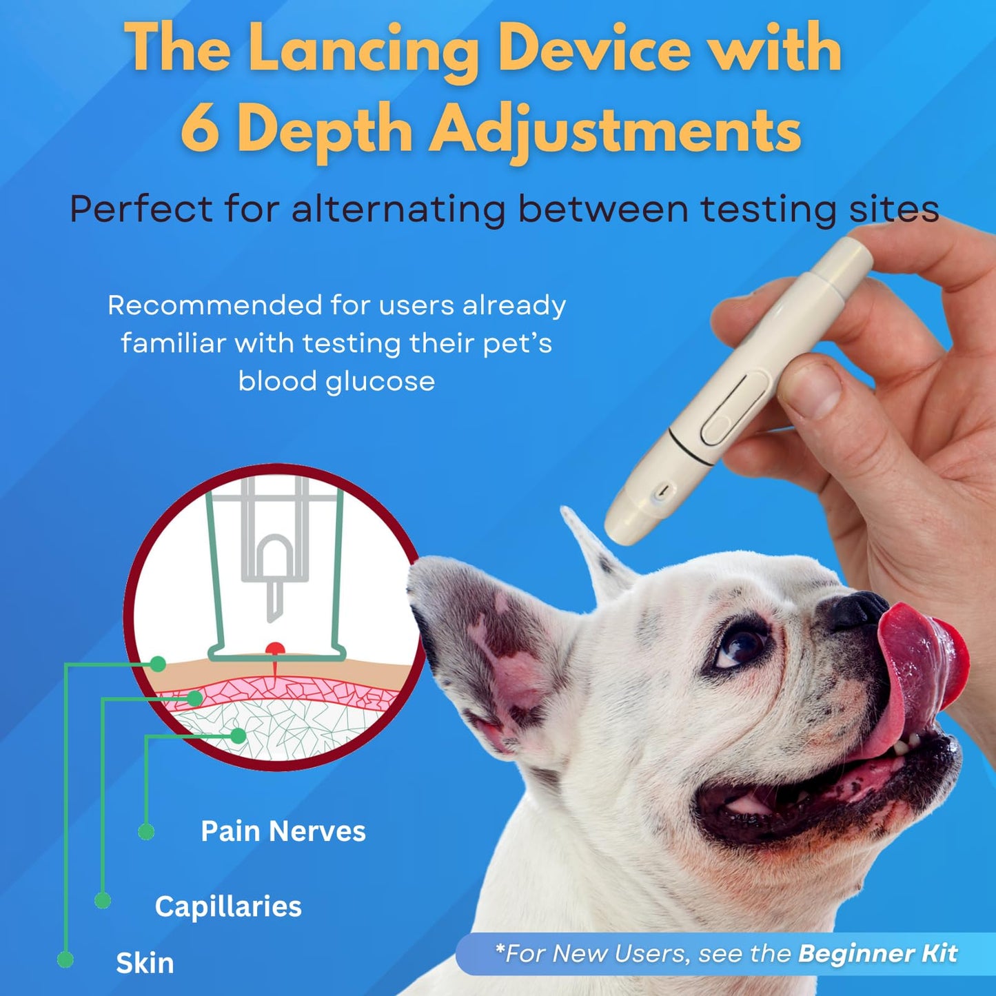 PetTest Expert Glucose Monitoring Kit for Dogs & Cats | Advocate Pettest