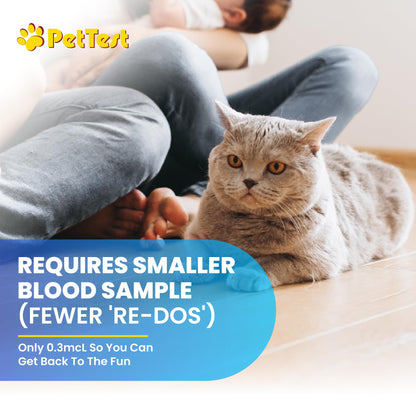 PetTest Blood Glucose Test Strips – Easy Open, Sterilized & Individually Sealed (50) | Advocate PetTest