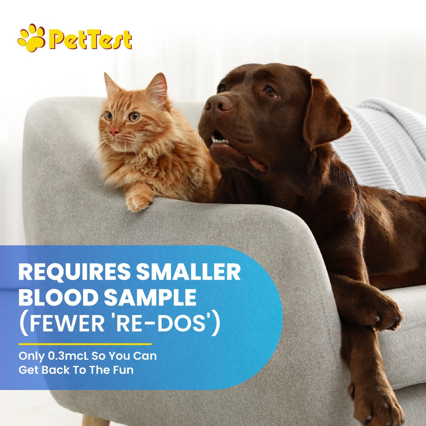 PetTest Expert Glucose Monitoring Kit for Dogs & Cats | Advocate Pettest