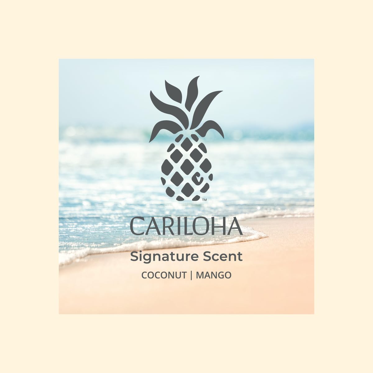 Aera Cariloha Signature Mango Coconut Scent Refill for The Aera Diffuser