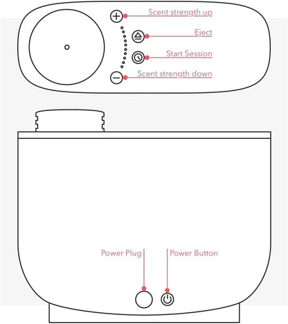 Aera Diffuser + Good Riddance Bundle for Large Rooms (Alexa/App)