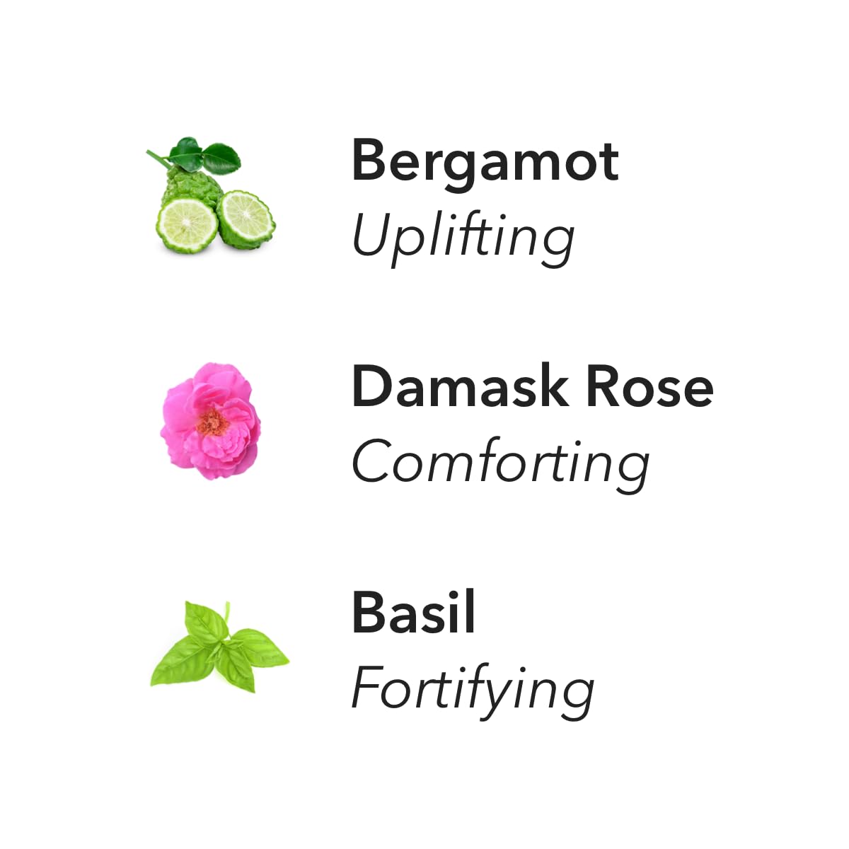 Aera Optimism Aromatherapy Essential Oil Refill – Bergamot, Damask Rose & Basil | Works with The Aera Diffuser