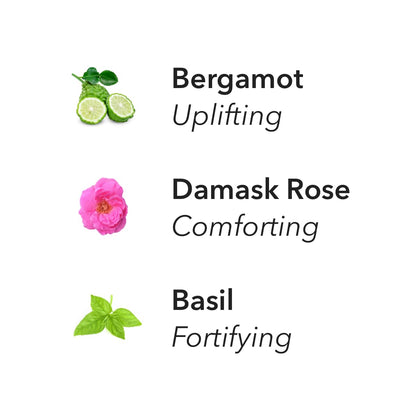Aera Optimism Aromatherapy Essential Oil Refill – Bergamot, Damask Rose & Basil | Works with The Aera Diffuser
