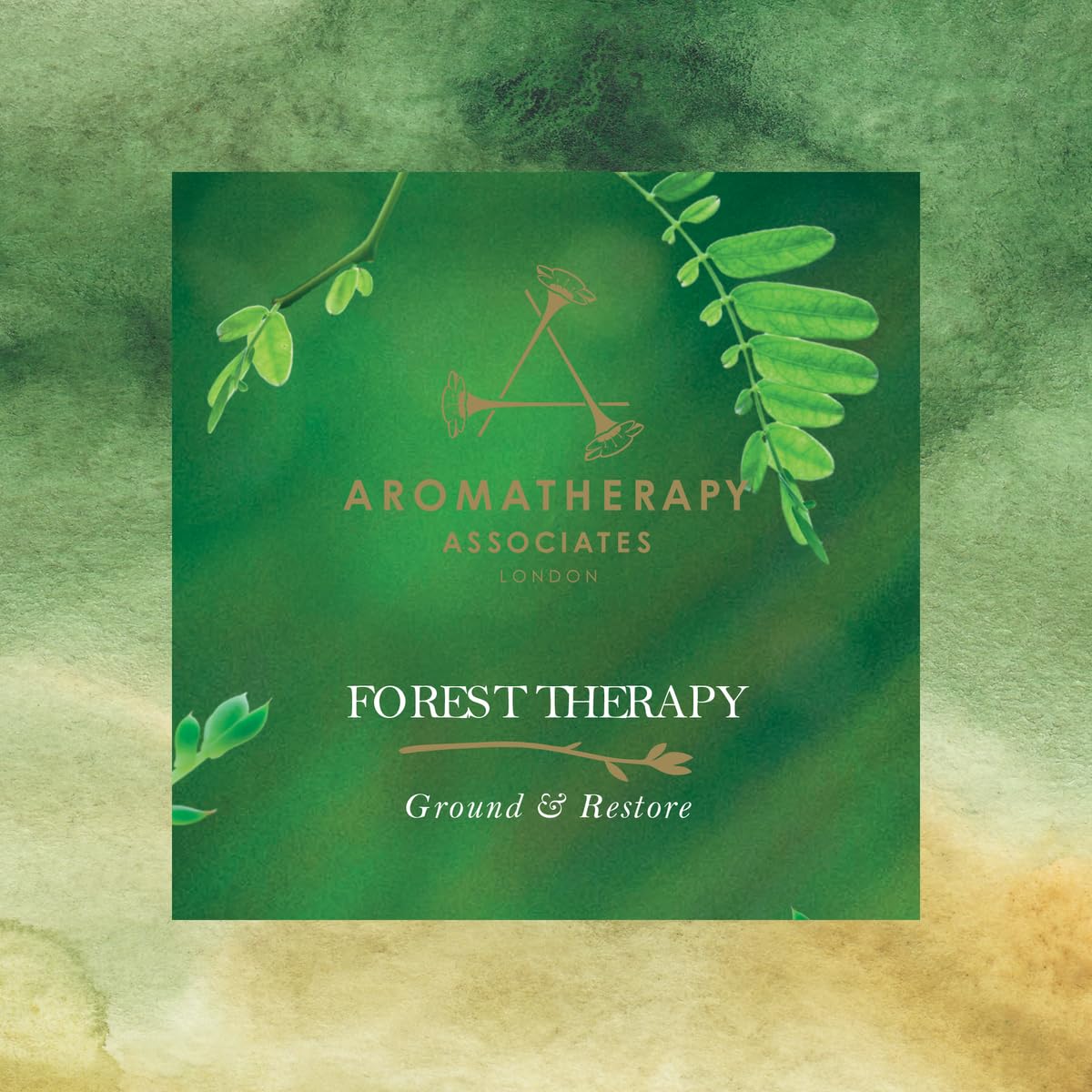 Aera Forest Therapy Essential Oil Refill – Pink Pepper, Cypress & Ho Wood (Aera Diffuser Compatible)