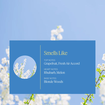 Aera Good Riddance Smoke Odor – Essential Oil for Home, Fresh Air + Orange & Honeysuckle Notes (Diffuser Refill)