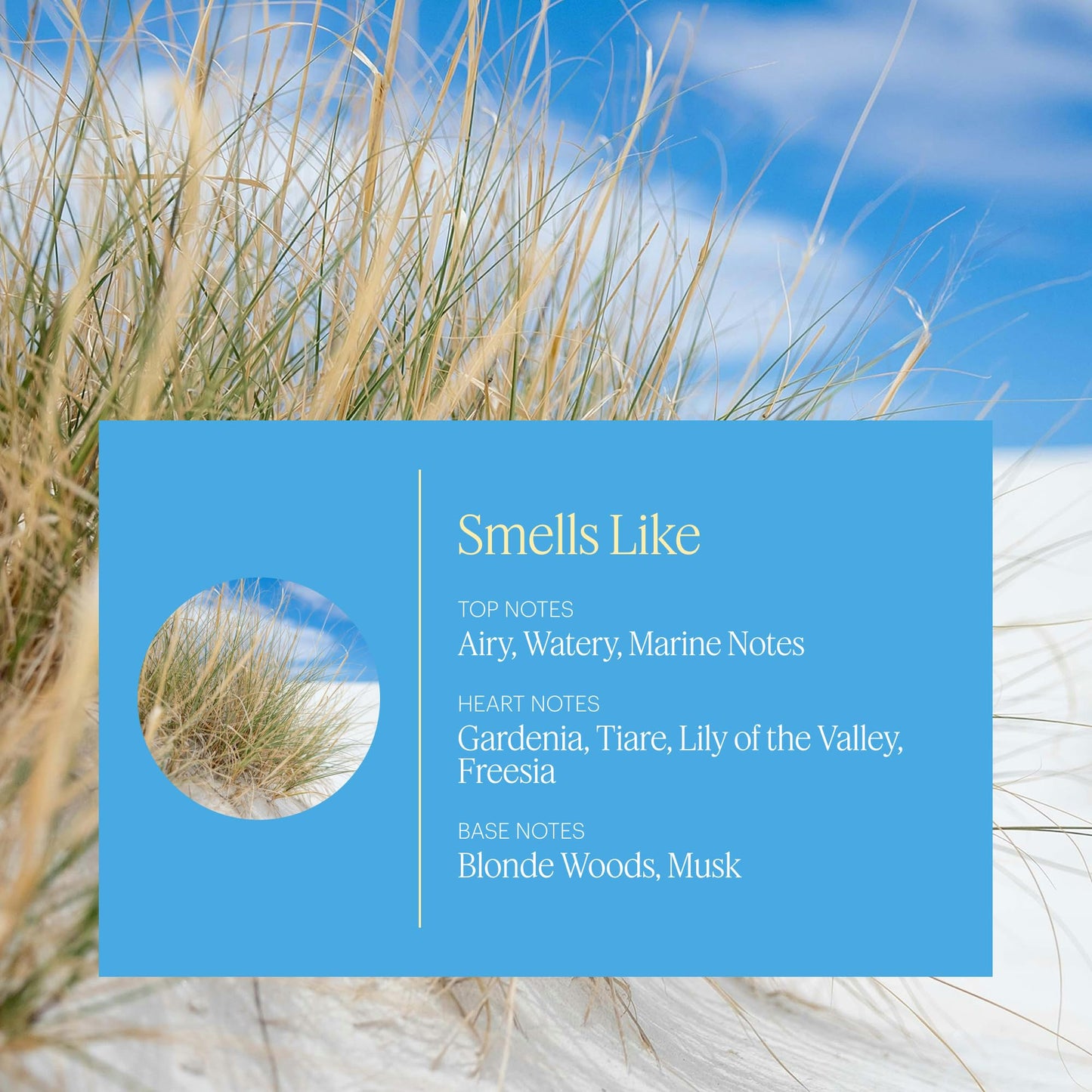 Aera Mini Beach House: Ocean Air & Gardenia Essential Oil Refill