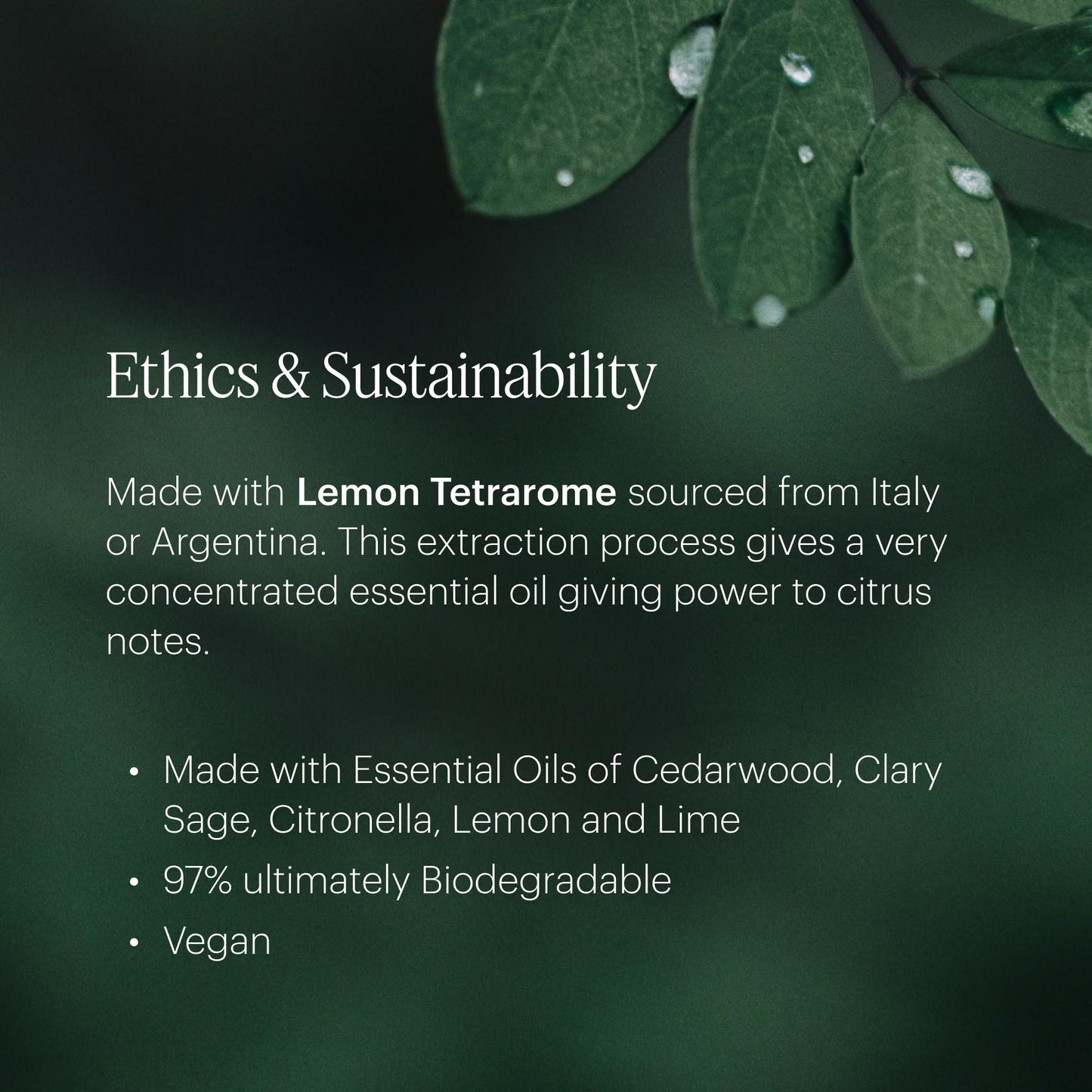 Aera Mini Citrus Essential Oil for Home | Lemon Zest Fragrance for Mini Diffuser