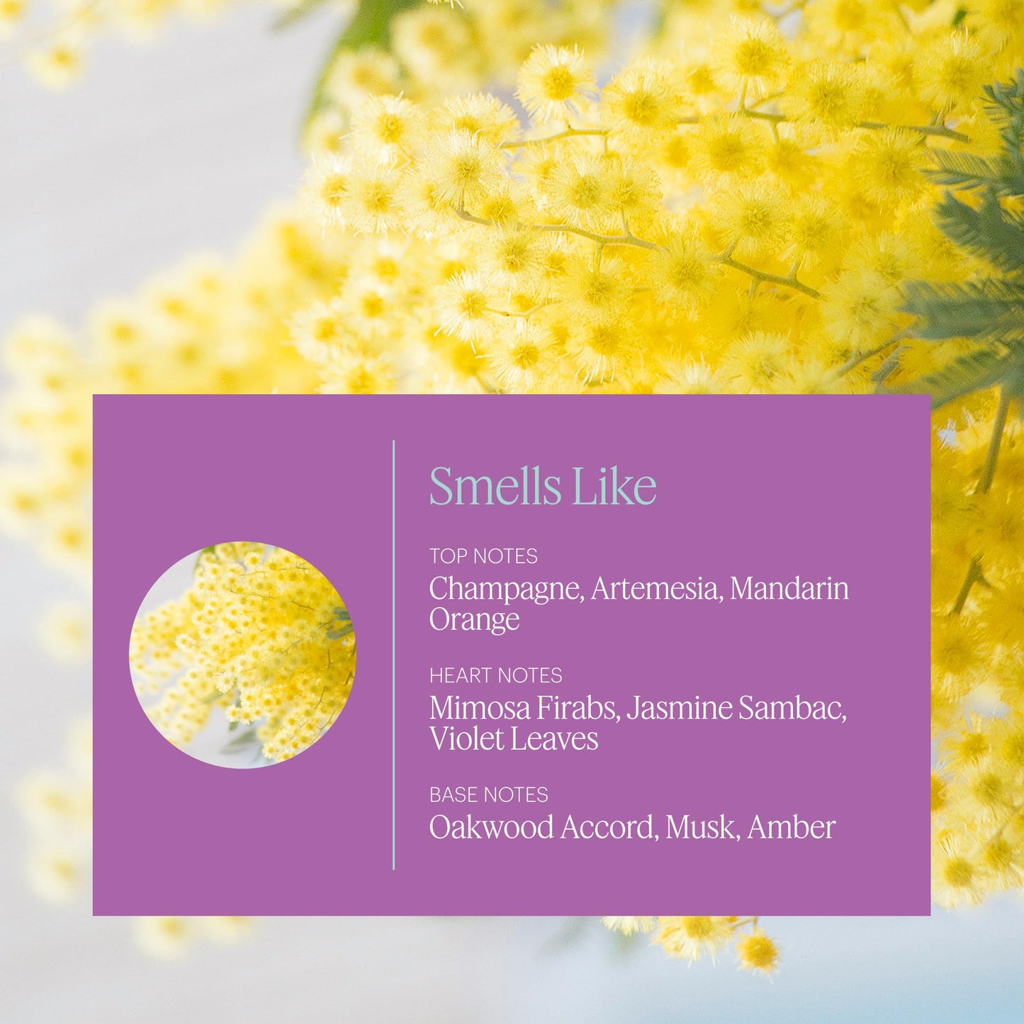 Aera Mini Destinations Paris – Essential Oil for Home (Floral, Champagne & Macarons) | Capsule Diffuser