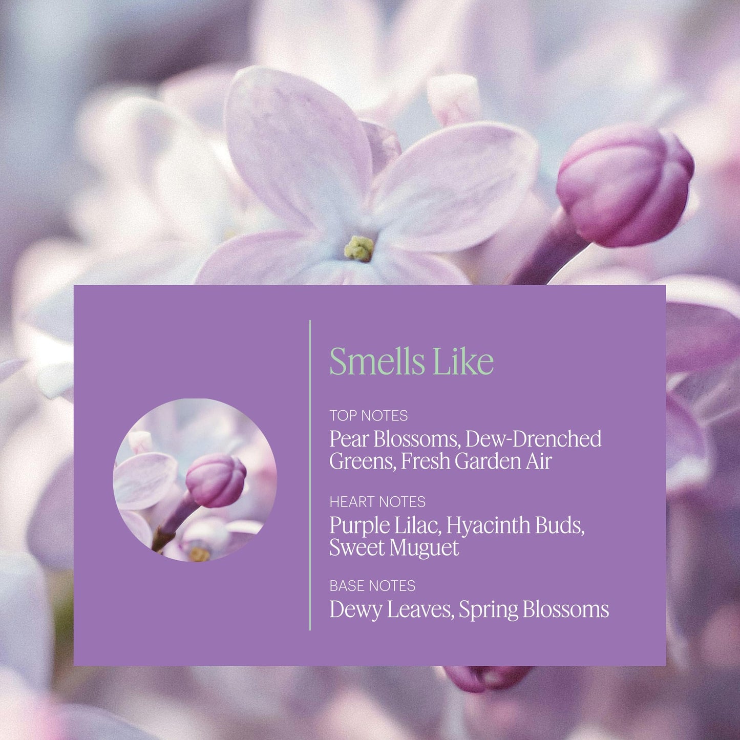 Aera Mini Lilac Daydream – Lilac Fragrance Capsule for Mini Diffuser