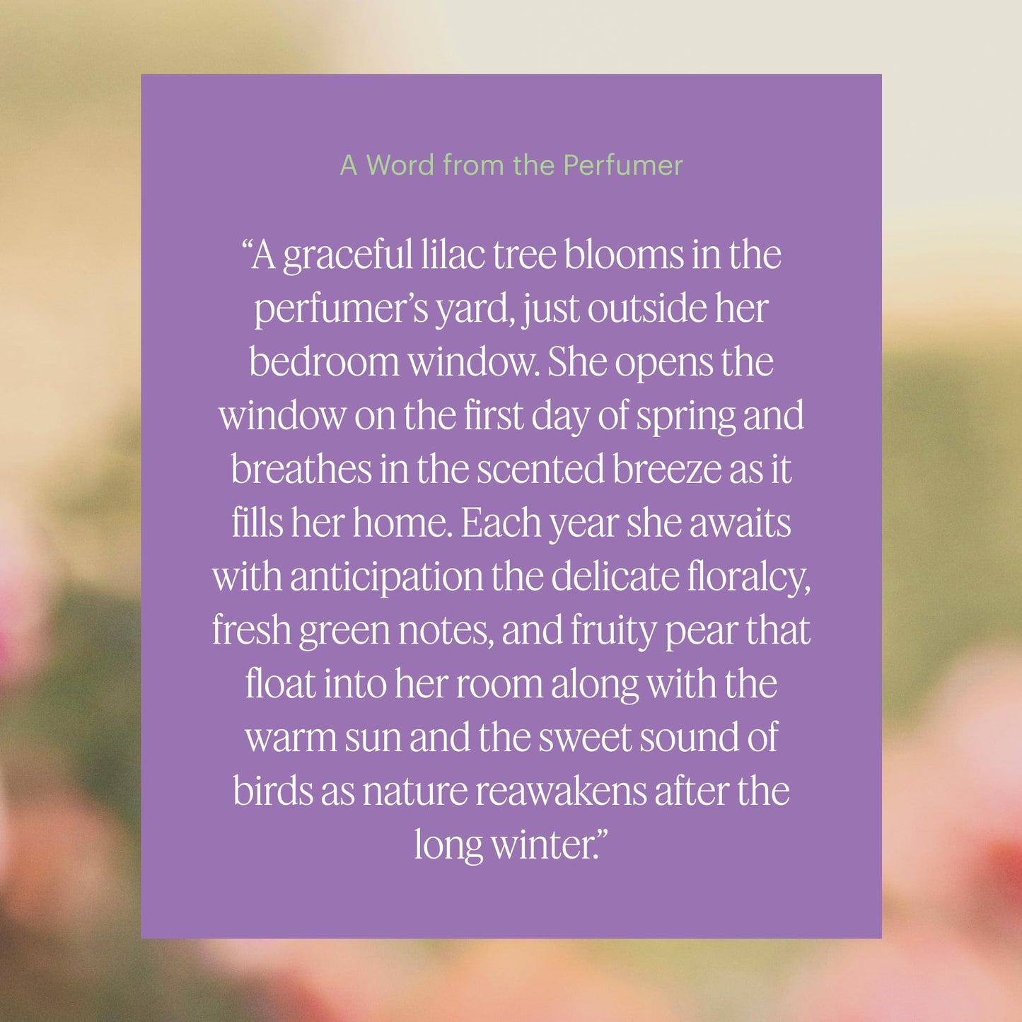 Aera Mini Lilac Daydream – Lilac Fragrance Capsule for Mini Diffuser