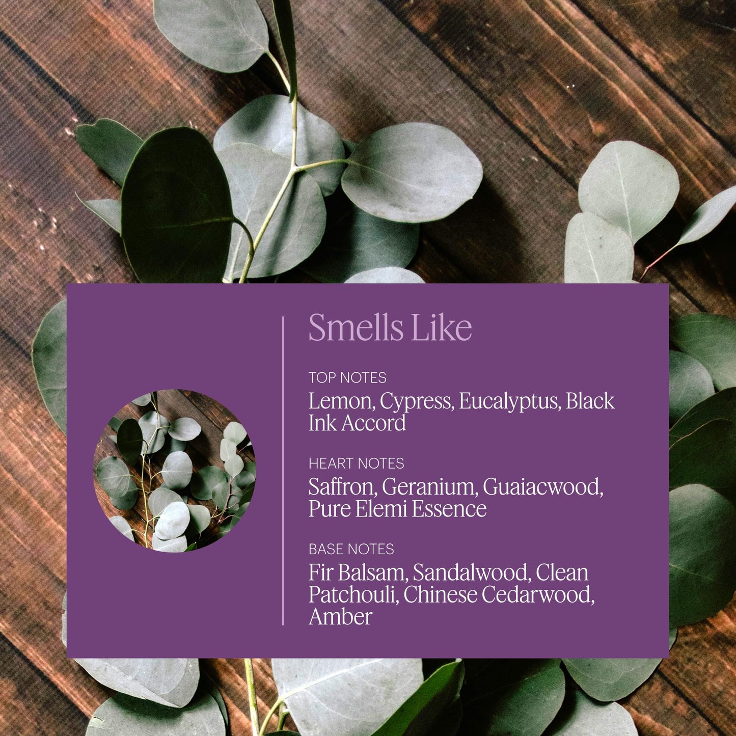 Aera Mini Poetry - Essential Oil for Home | Suede, Violet, Vetiver & Eucalyptus