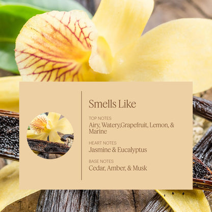 Aera Mini Vanilla – Essential Oil for Home | Vanilla, Tonka & Bourbon Scent Refill for Mini Diffuser