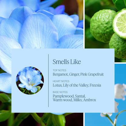 Aera Mini Wild Bluebells Scent Refill for The Aera Mini Diffuser