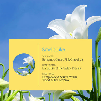 AERA Mini Zephyr: Essential Oil Capsule for Mini Diffuser (Lotus, Sandalwood, Lily)