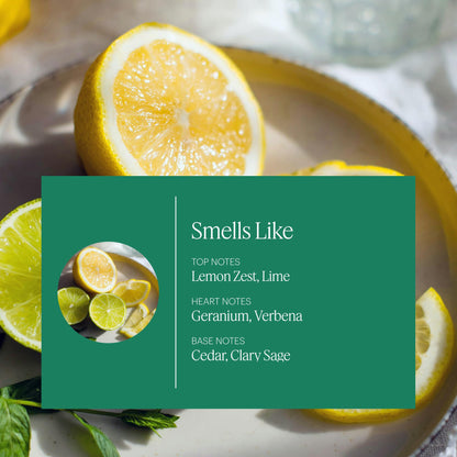 Aera Citrus & Sage Refill for Diffusers | Lemon, Lime & Geranium Notes