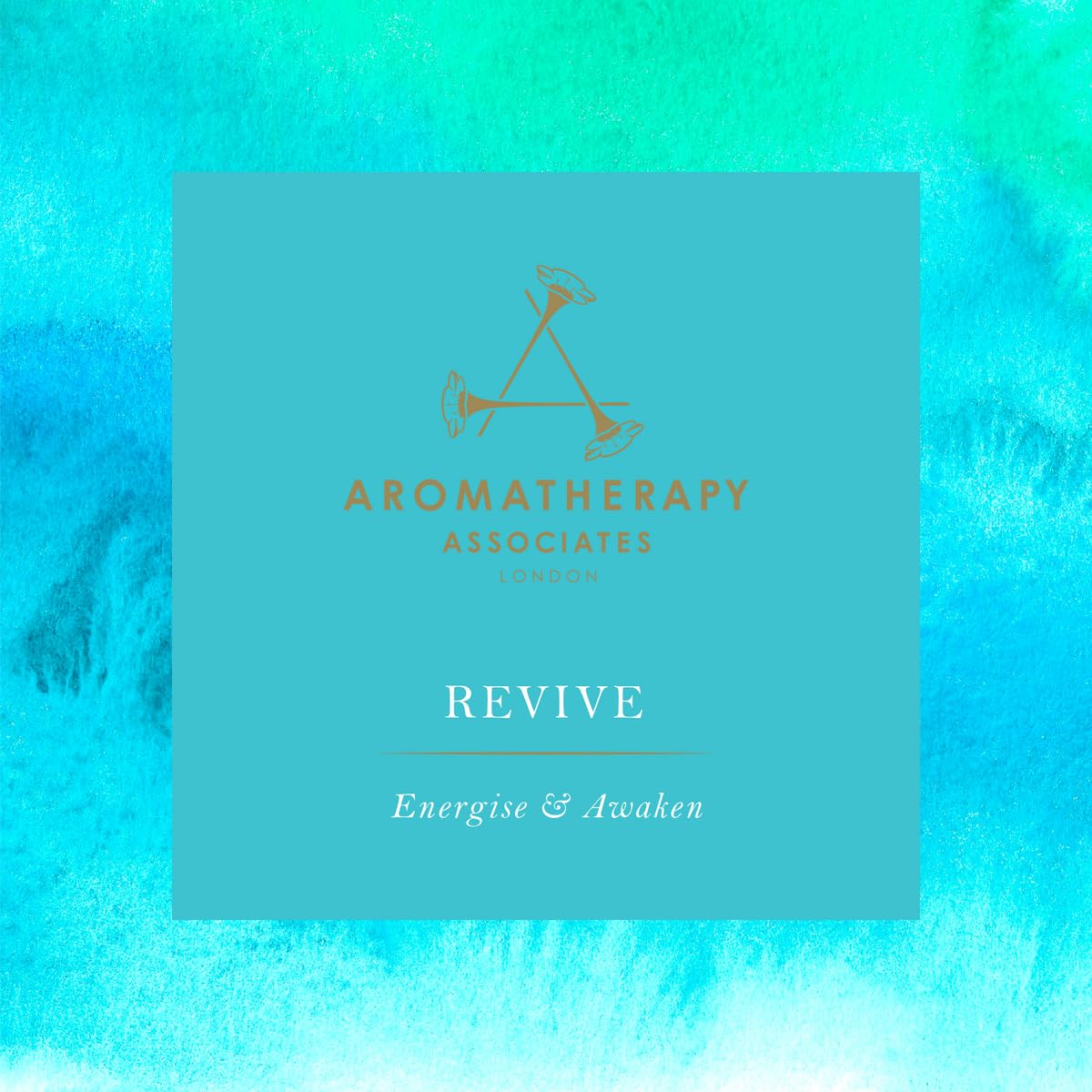 Aera Revive Aromatherapy Essential Oil Refill – Juniper Berry, Rosemary & Grapefruit | Works with Aera Diffuser