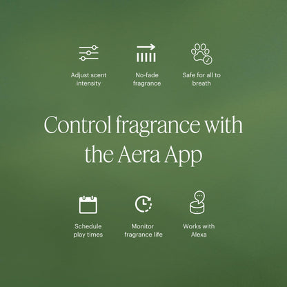 Aera Snowfall – Smart Home Scent Refills | Crisp Winter & Pine | Up to 3 Months