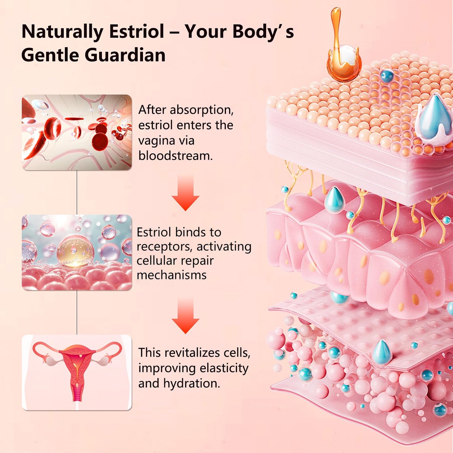Aeryea Natural Bioidentical Estriol Cream for Women — Menopause Support, 1 fl oz (2 Month Supply)