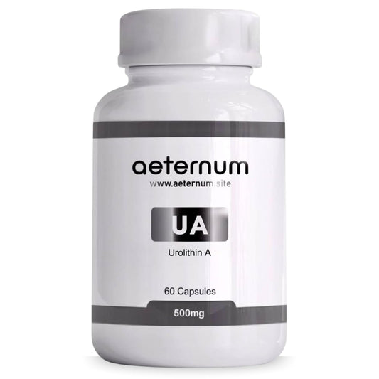 aeternum Urolithin A - UA - Capsules - 500mg - 60 Capsules BritishVita | Premium UK Vitamins & Wellness Supplements