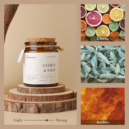 Aeviva Citrus & Sage Scented Candle – 7.05 oz Natural Soy Wax, Double Wood Wick, Amber Jar Gift