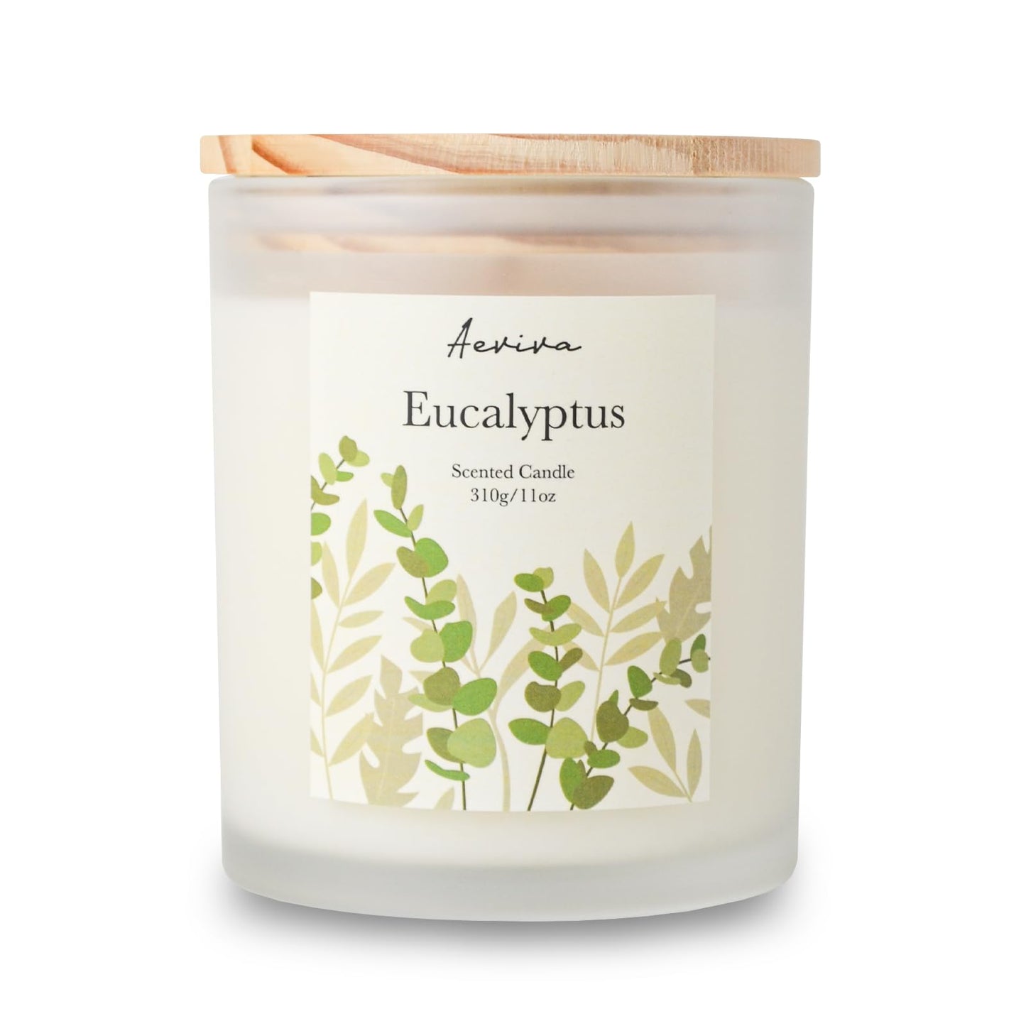 Aeviva Eucalyptus Scented Candle 11oz - 60 Hour Burn, Natural Soy Wax
