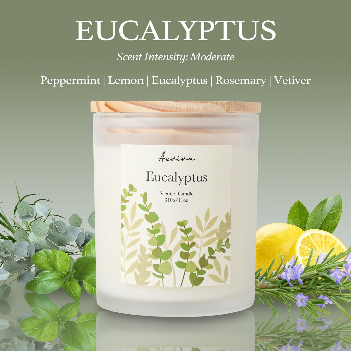 Aeviva Eucalyptus Scented Candle 11oz - 60 Hour Burn, Natural Soy Wax