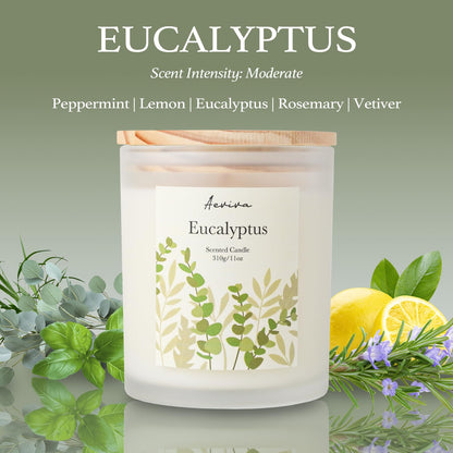Aeviva Eucalyptus Scented Candle 11oz - 60 Hour Burn, Natural Soy Wax