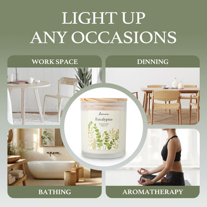 Aeviva Eucalyptus Scented Candle 11oz - 60 Hour Burn, Natural Soy Wax