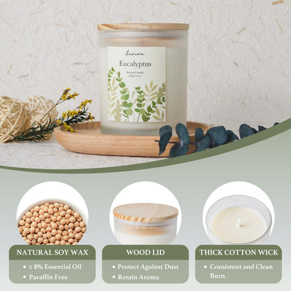 Aeviva Eucalyptus Scented Candle 11oz - 60 Hour Burn, Natural Soy Wax
