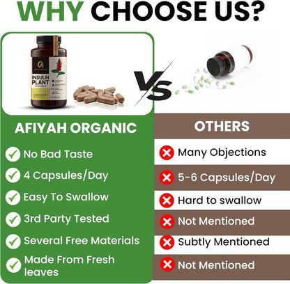 Afiyah Organic Costus Igneus Capsules – Premium Insulin Plant (240 Veggie Capsules)