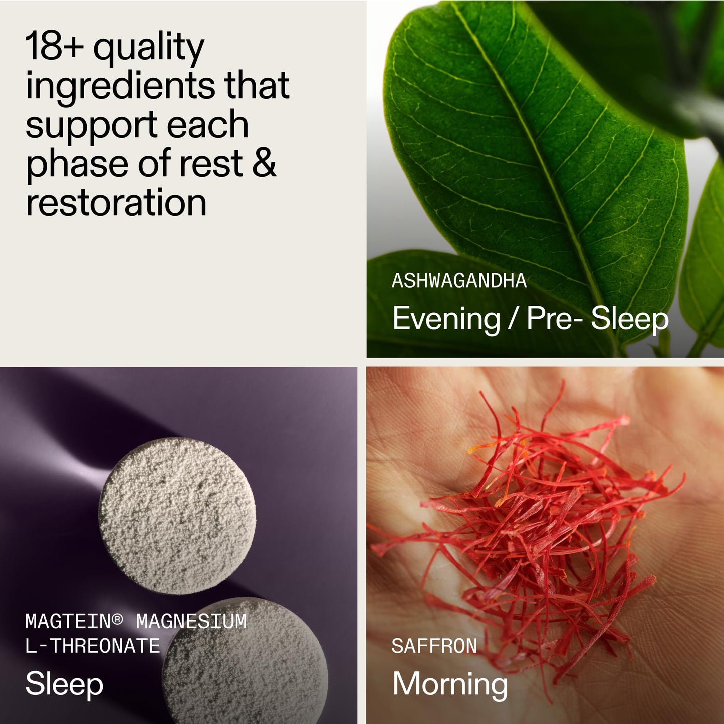 AG1 AGZ Sleep Drink Sampler – Melatonin-Free Nighttime Sleep Support (3-Serving Flavor Pack) | Athletic Greens